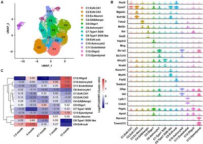 Characterization of Alzheimer’s Disease-Associated Excitatory Neurons via Single-Cell RNA Sequencing Analysis